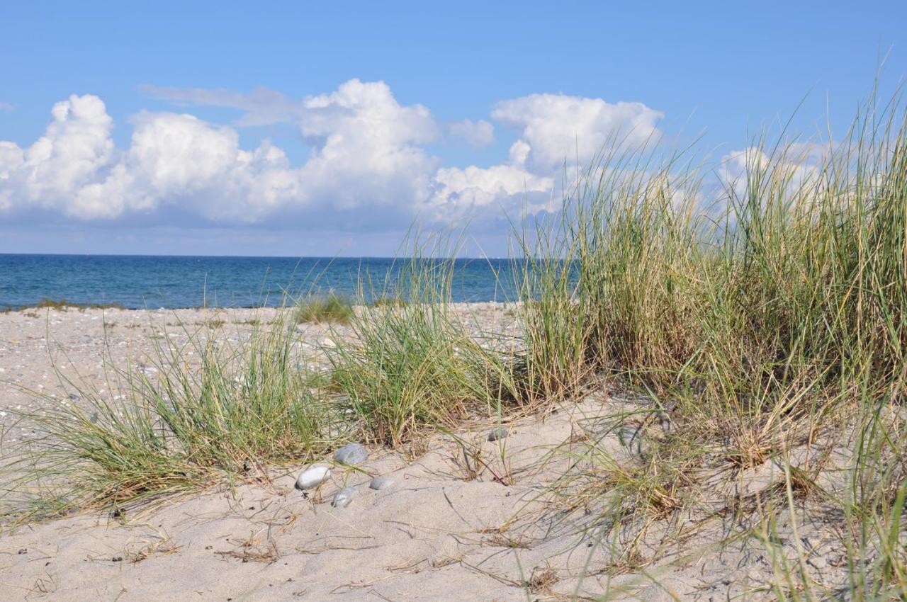 Burgtiefe Suedstrand "Duenennest" Fehmarn Exteriör bild